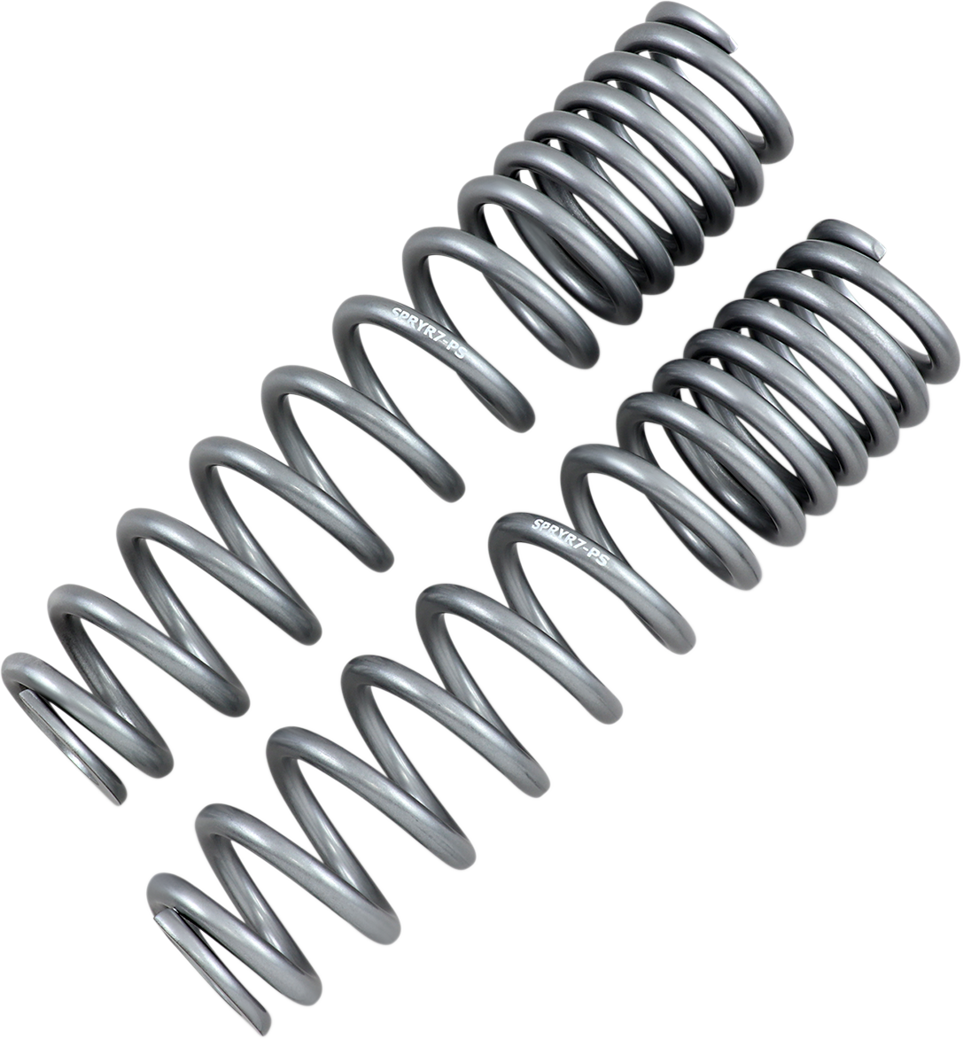 HIGH LIFTER Shock Springs - Rear - Silver 79-13869