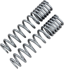 HIGH LIFTER Shock Springs - Rear - Silver 79-13869