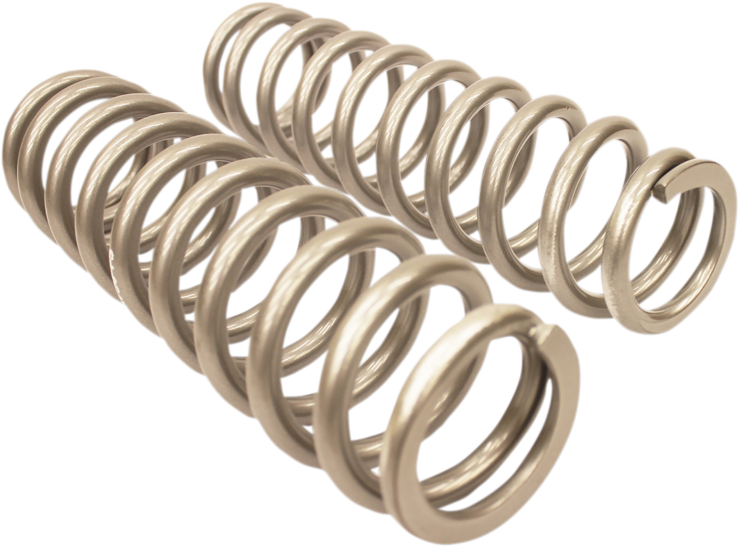 HIGH LIFTER Shock Springs - Rear - Silver 79-13843