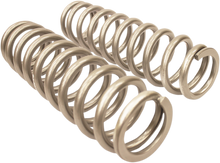 HIGH LIFTER Shock Springs - Rear - Silver 79-13843