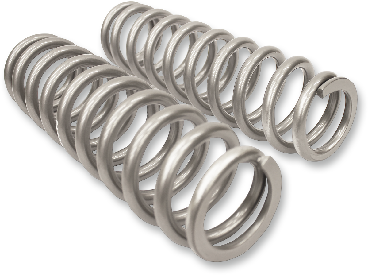 HIGH LIFTER Shock Springs - Rear - Silver 79-13834