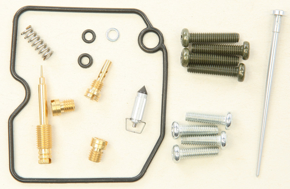 Carburetor Repair Kit