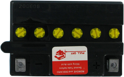 PARTS UNLIMITED Conventional Battery 12N14-3A
