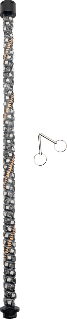 BRITE-LITES Extension - Whip Light - 2' - Quick Connect BL-WPSS2