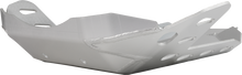 MOOSE OFFROAD Skid Plate - BMW - R 1250 GS 329