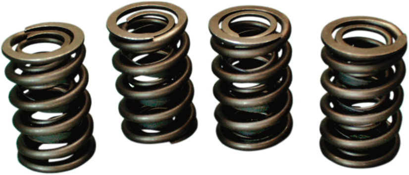 JIMS Valve Spring Kit - Evolution - Big Twin 1356
