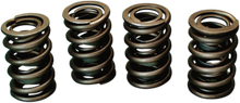 JIMS Valve Spring Kit - Evolution - Big Twin 1356