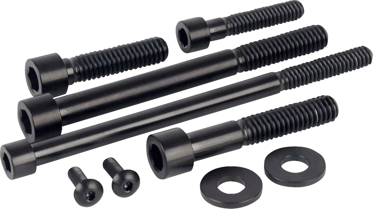 FIGURATI DESIGNS Engine Bolt Kit - Titanium/Race Black - M8 FD100-M8-TBOLT-BLK