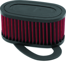BikeMaster Honda VT750C/CD Shadow ACE/DLX Air Filter