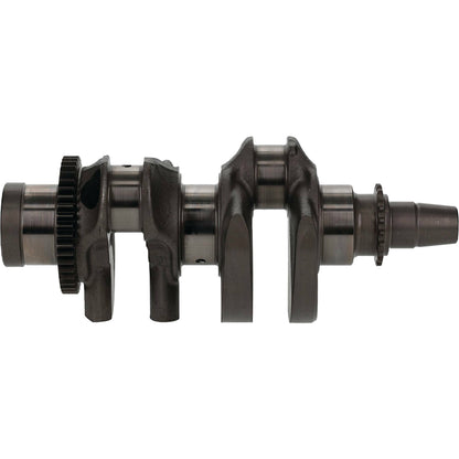 Bottom End Kit Pol
