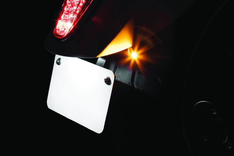 Kuryakyn Rear Ts & Lp Mount Scout