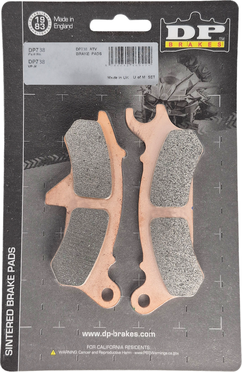 DP BRAKES Sintered Brake Pads - Kawasaki Ridge Ranch - Front Left DP738