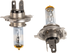 EIKO Halogen Bulbs - H4/HB2 - 55/60 W 9003-PVG-2BPP