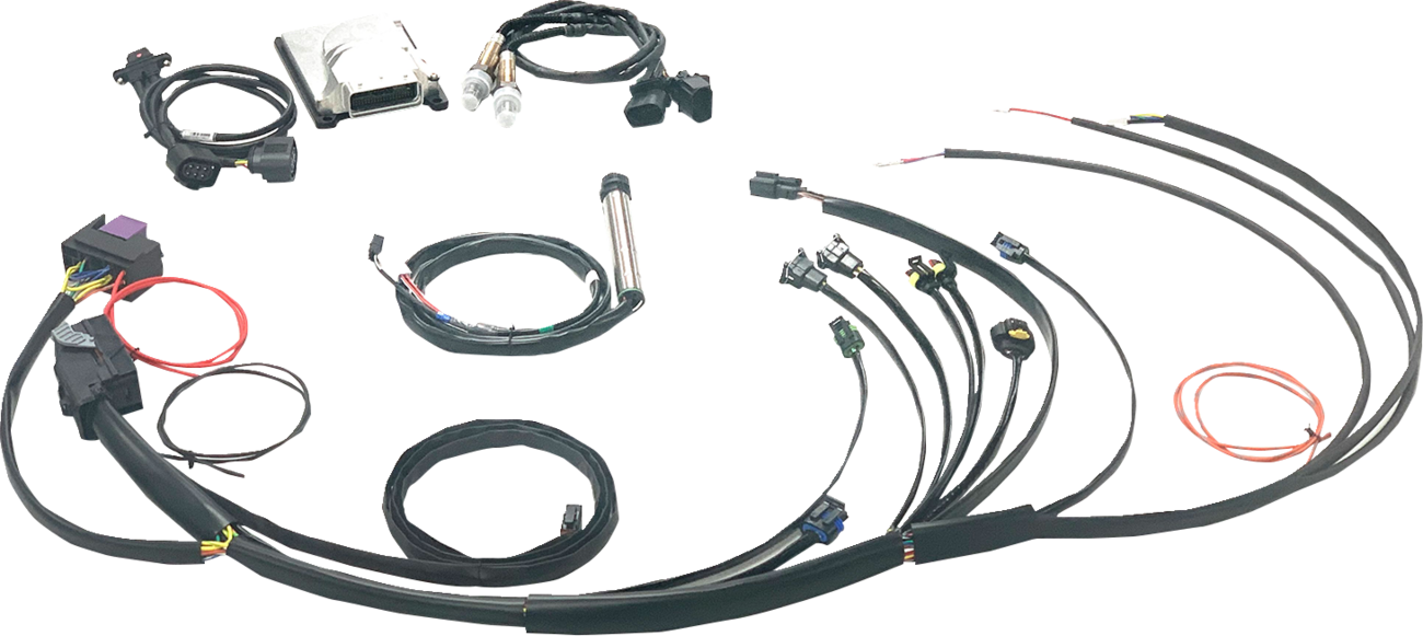 NAMZ Complete Stand-Alone EFI Engine Management System - Twin Cam N-EFI-01