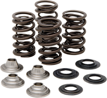 KIBBLEWHITE Valve Spring Kit - 0.415" Lift - Lightweight High-Lift Racing - Kawasaki 40-40660