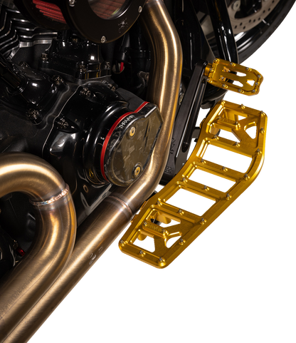THRASHIN SUPPLY CO. Aggressor Floorboards - Gold TSC-2219-5