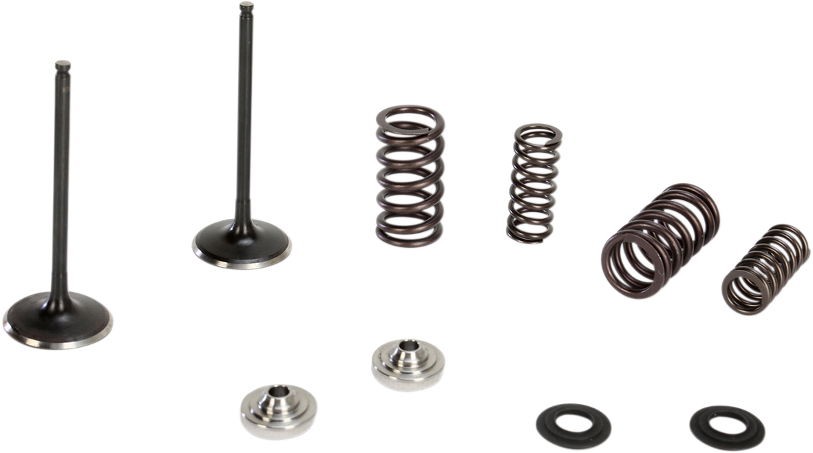 KIBBLEWHITE Valve and Spring Kit - 0.445" Lift - Suzuki RMZ250 '07-'17 60-60470