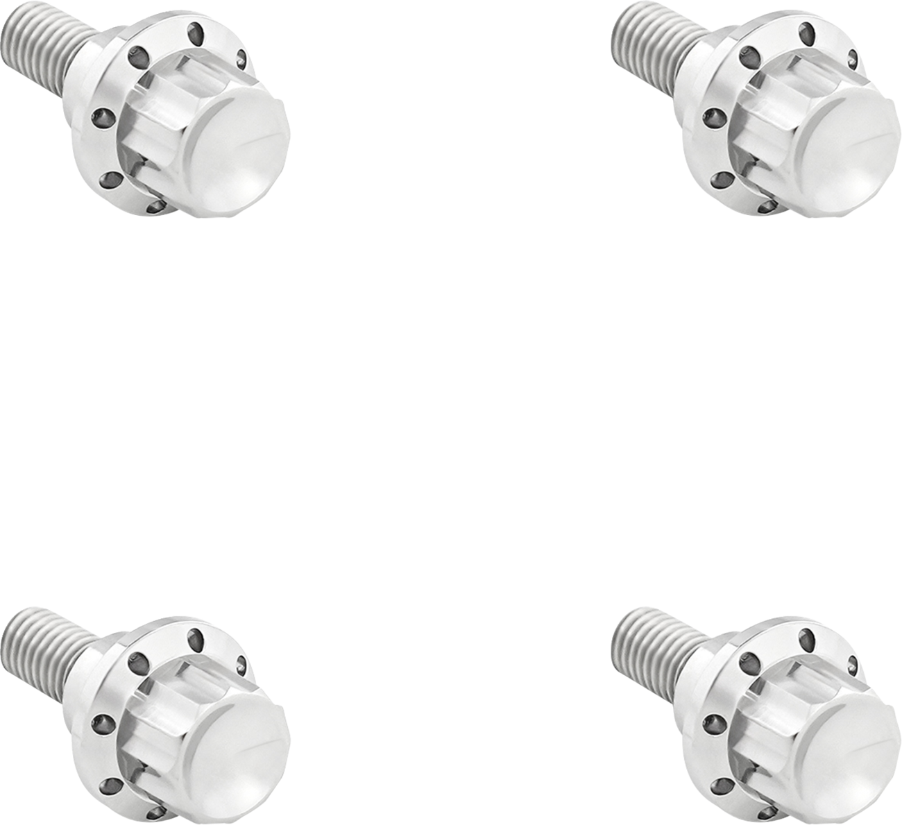 ARLEN NESS Bolt Kit - Windshield - 12-Point - Titanium - Silver 300-809