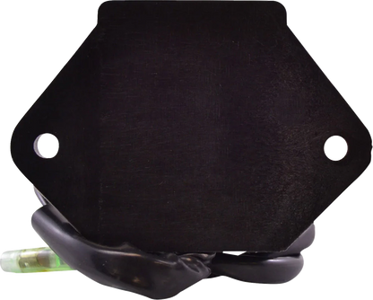 RM STATOR CDI Box - Arctic Cat RM02014
