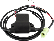 RM STATOR CDI Box Ignition Module - Ski-Doo RMS060-107950