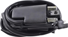 RM STATOR Ignition Coil - External RM06022