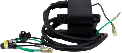RM STATOR Ignition Coil - External - Arctic Cat RM06048
