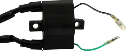 RM STATOR Ignition Coil - External - Arctic Cat RM06048