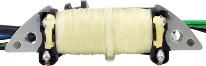 RM STATOR Stator - Yamaha RMS010-104672