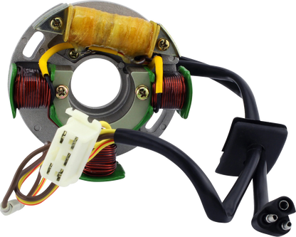 RM STATOR Stator and CDI Box Kit - Polaris RMS900-108199