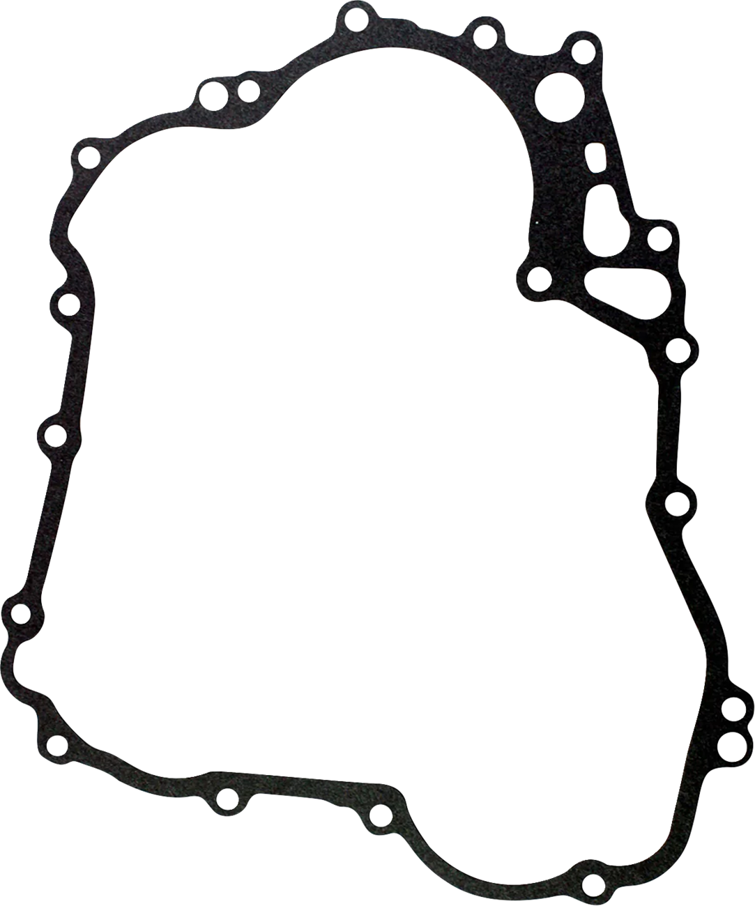 RM STATOR Stator and Flywheel Kit - Ski-Doo RM23033