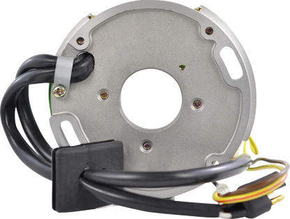 RM STATOR Stator and CDI Box Kit - Polaris RMS900-108214