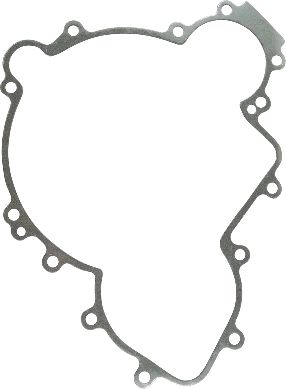 RM STATOR Stator with Crankcase Cover Gasket - Polaris RM01394G