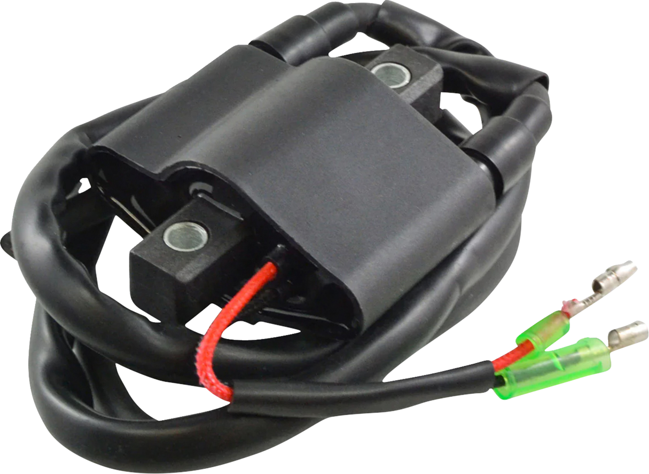 RM STATOR Ignition Coil - External - Arctic Cat RM06061