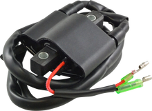 RM STATOR Ignition Coil - External - Arctic Cat RM06061