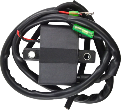 RM STATOR Ignition Coil - External - Arctic Cat RM06061