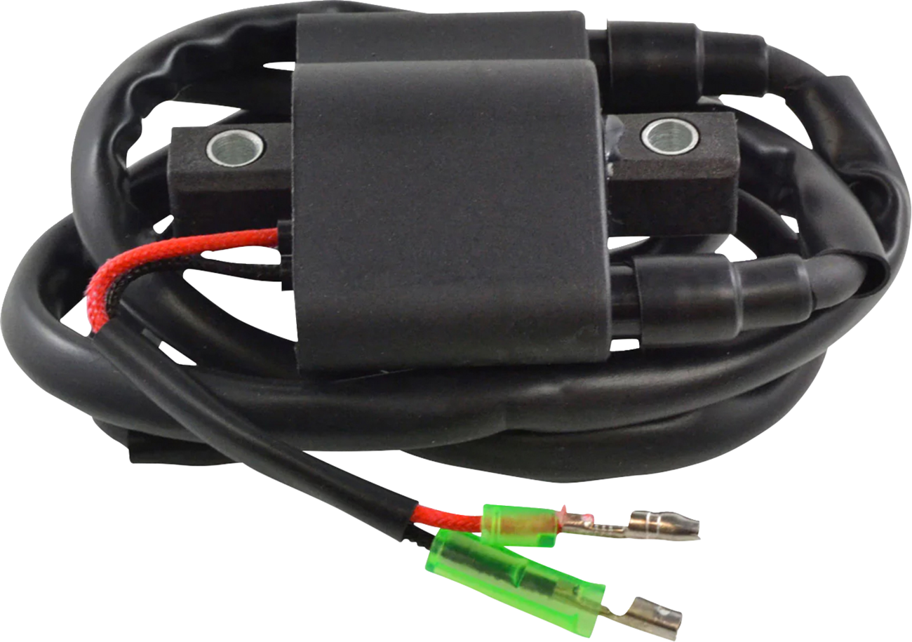 RM STATOR Ignition Coil - External - Arctic Cat RM06061