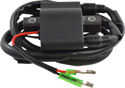 RM STATOR Ignition Coil - External - Arctic Cat RM06061