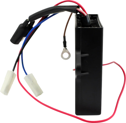 RM STATOR Ignition Conversion Kit - AC to DC - Polaris RM40000