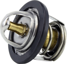RM STATOR Thermostat - Polaris RMS150-105809