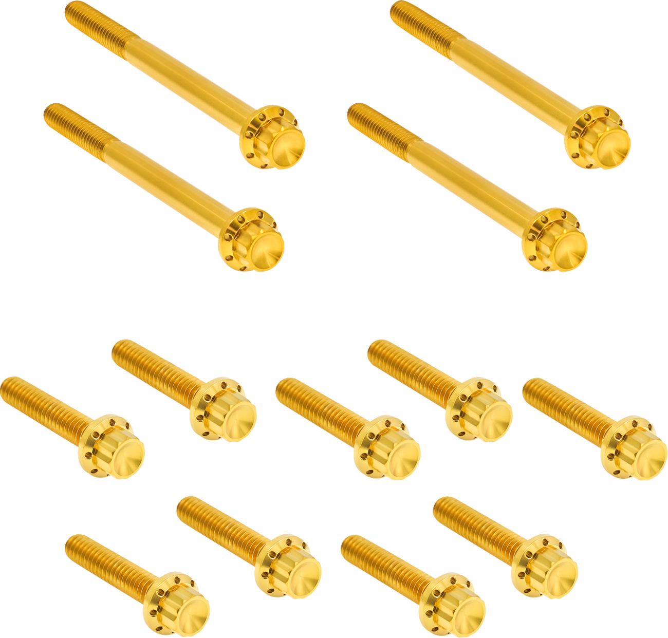 ARLEN NESS Bolt Kit - Primary Cover - Titanium - 12-Point - Softail - Gold 300-931