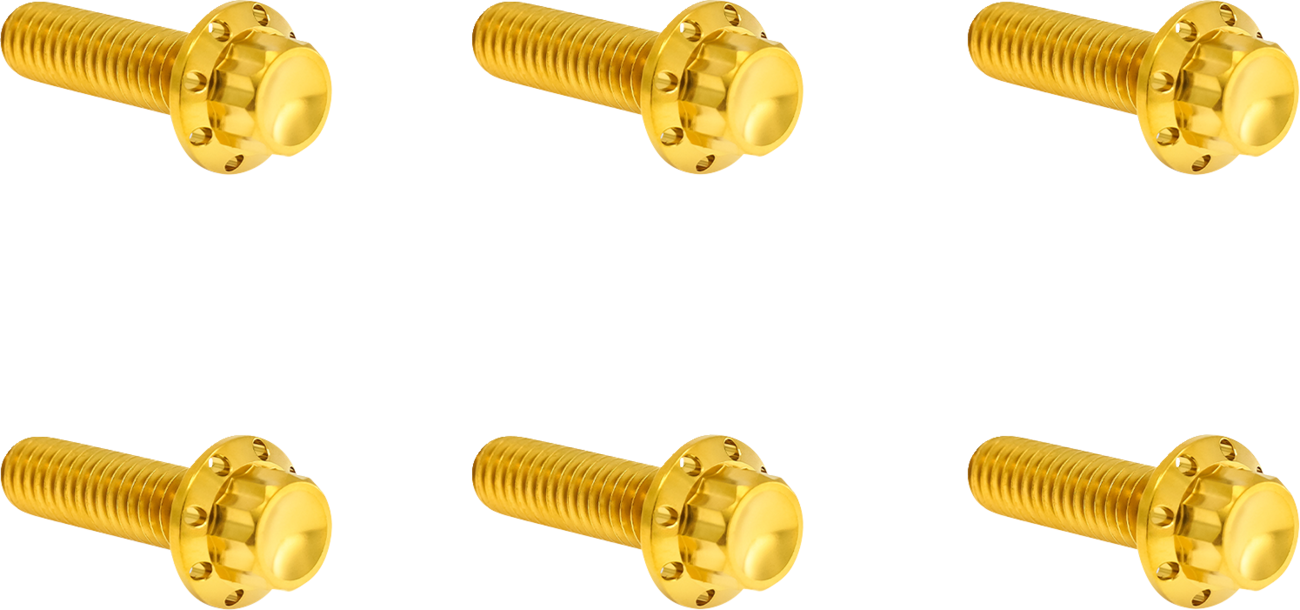 ARLEN NESS Bolt Kit - Transmission Top Cover - 12-Point - Titanium - Gold 300-949