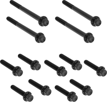 ARLEN NESS Bolt Kit - Primary Cover - Titanium - 12-Point - Softail - Black 300-930