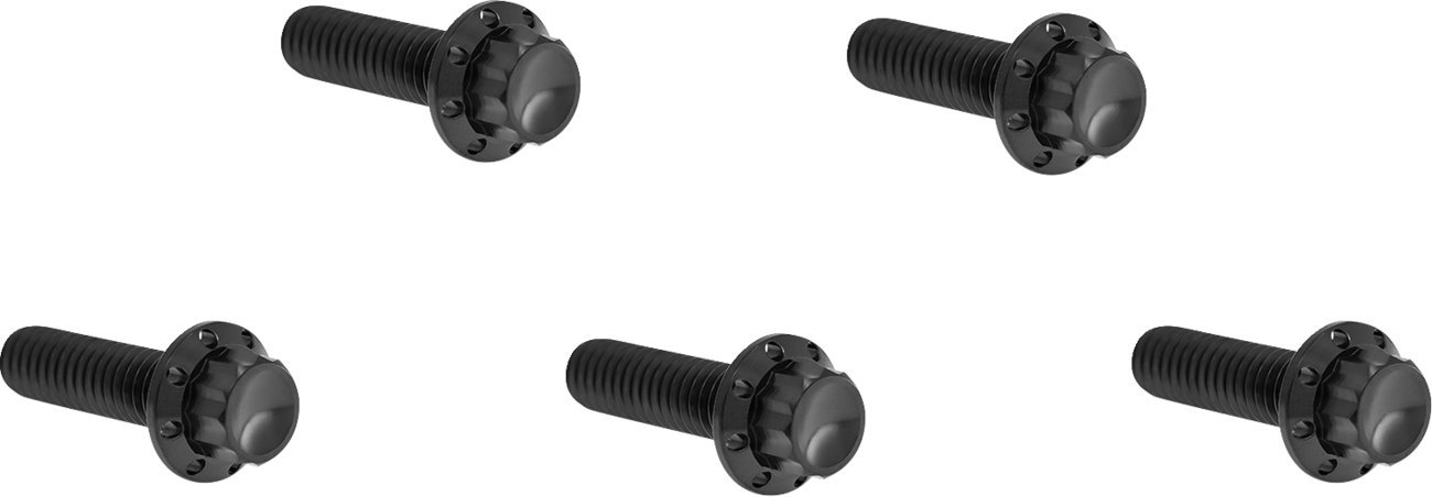 ARLEN NESS Bolt Kit - Derby Cover - 12-Point - Titanium - Black 300-939