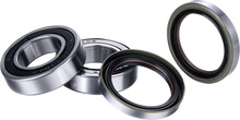 FACTORY LINKS Wheel Bearing Kit - Race Series/Rebuild - Rear RWR-B-001