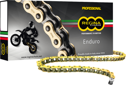 REGINA 428 ZSE - Drive Chain - 120 Links 126ZSE/1003