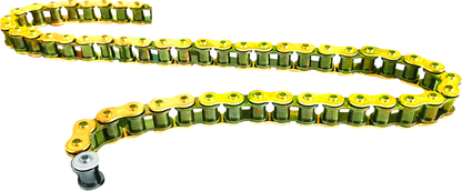 REGINA 428 ZSE - Drive Chain - 120 Links 126ZSE/1003