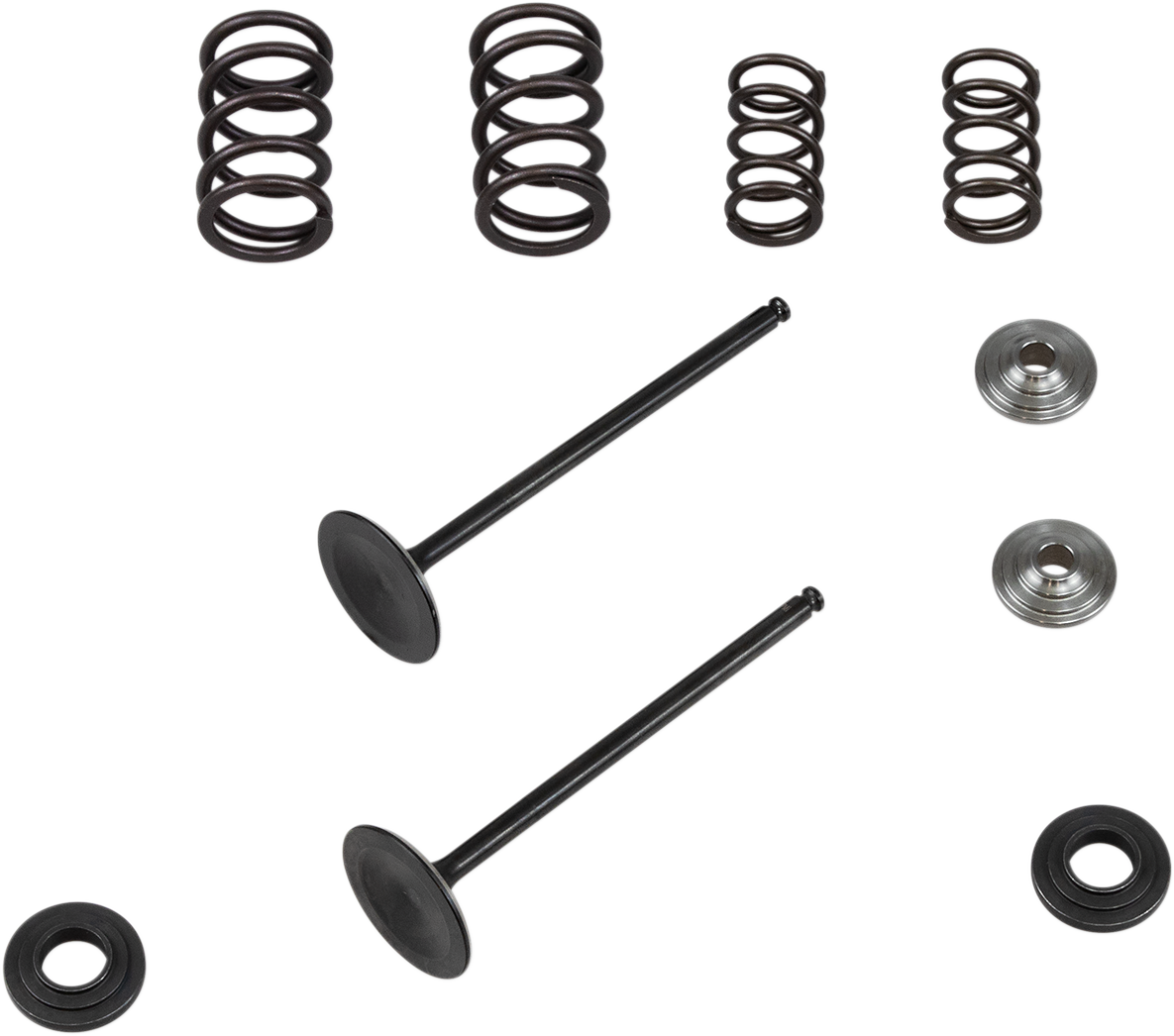 KIBBLEWHITE Valve and Spring Kit - 0.425" Lift - KTM 250XCF-W | 250 RC4 Engines '08-'11 96-96450