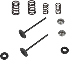 KIBBLEWHITE Valve and Spring Kit - 0.425" Lift - KTM 250XCF-W | 250 RC4 Engines '08-'11 96-96450