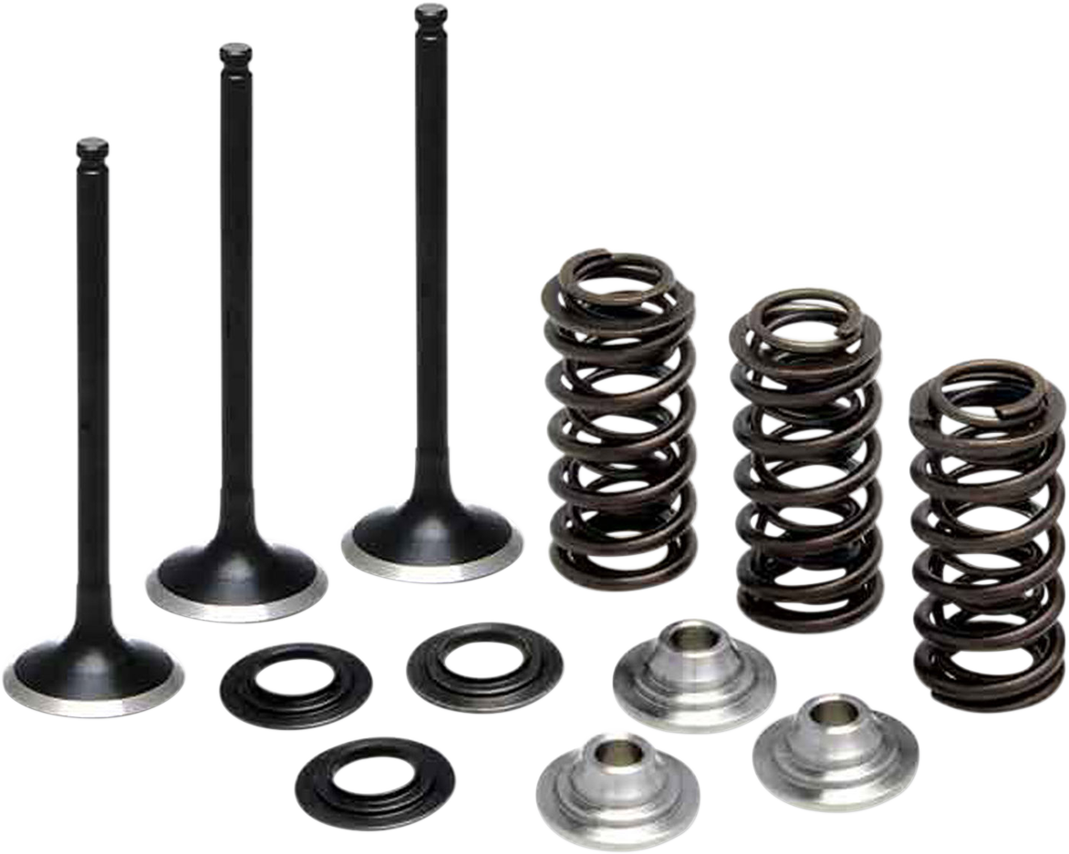 KIBBLEWHITE Valve and Spring Kit - 0.380" Lift - Yamaha WR250F | YZ 250F '01-'13 80-80850