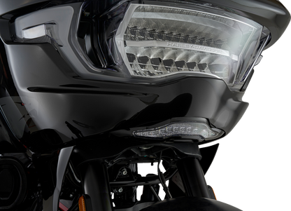 CIRO GOAT-E Fairing Light - Chrome - FLTRX 45260